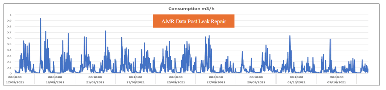 arm-data-post-leak-repair