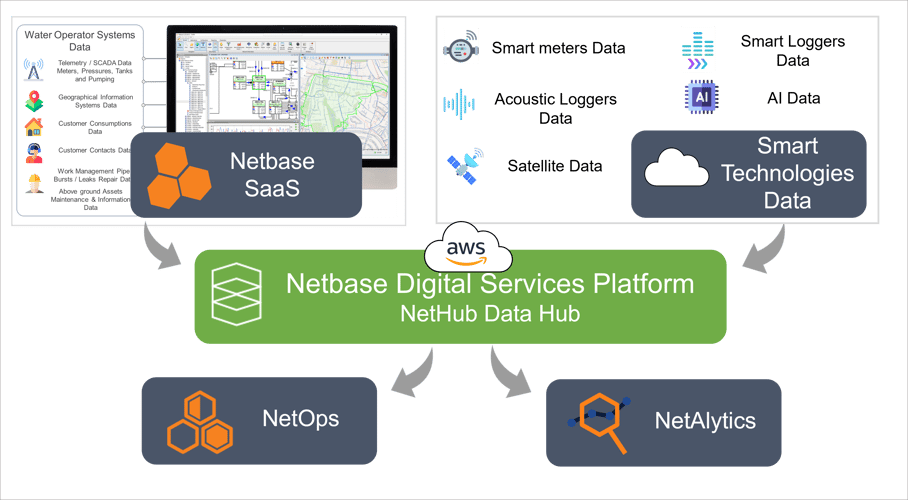 Netbase Digital Services Platform 1-1
