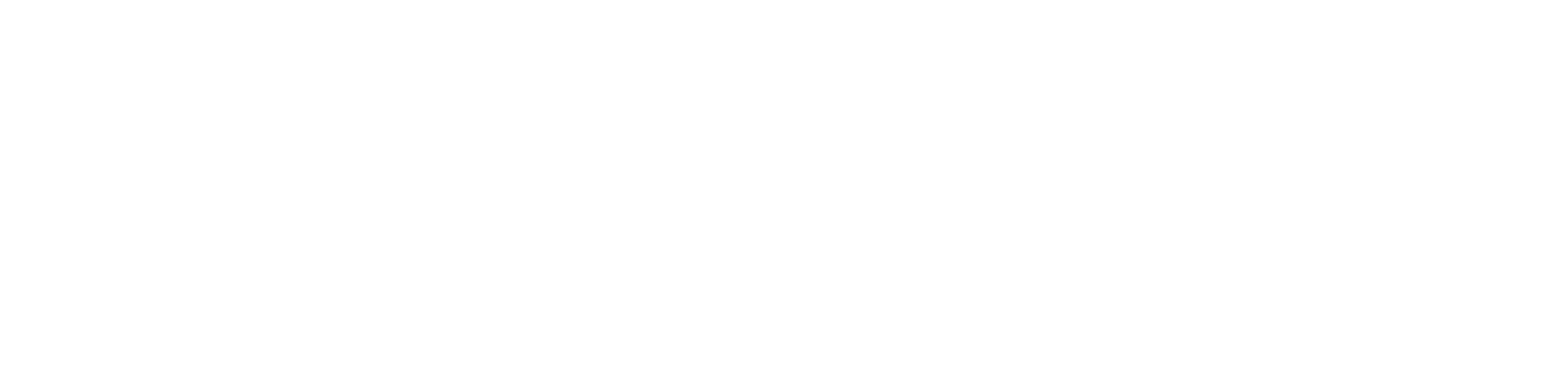 we-invest-in-people-silver-english-white (1)