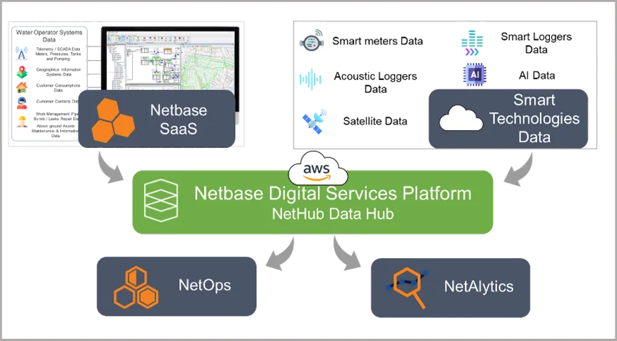 Netbase Digital Services Platform (1)